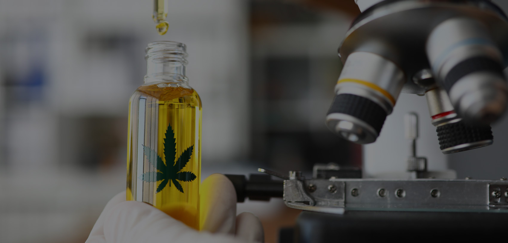 Home MMJ BioPharma Labs, Inc